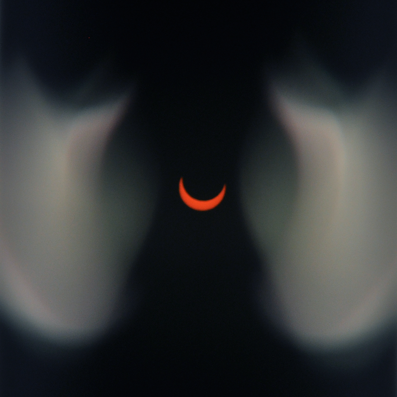 Eclipse-lung-type-image-Folkert-Gorter.jpg